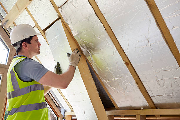 Best Wall Insulation Contractor  in Caldwell, ID